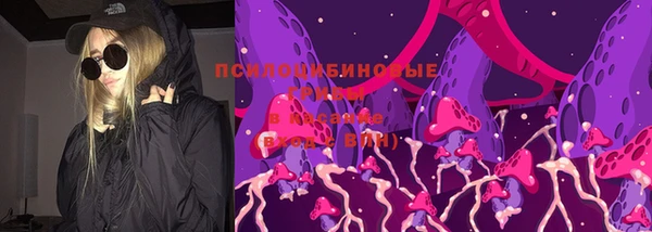 прущая мука Абаза